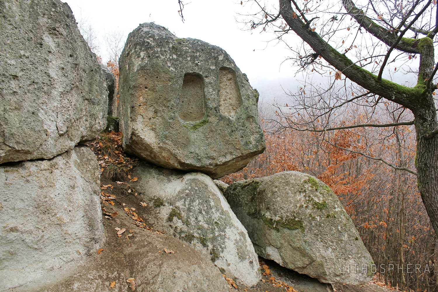 Köves-lápa, II. szikla (B.4.c)